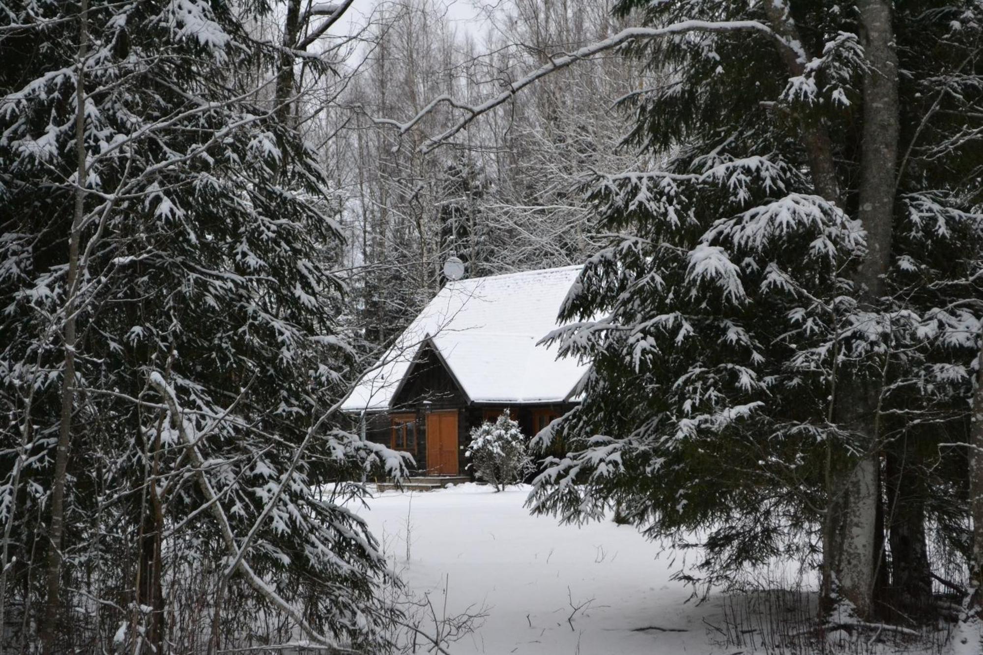 Toosikannu Nature Resort Käru Eksteriør billede